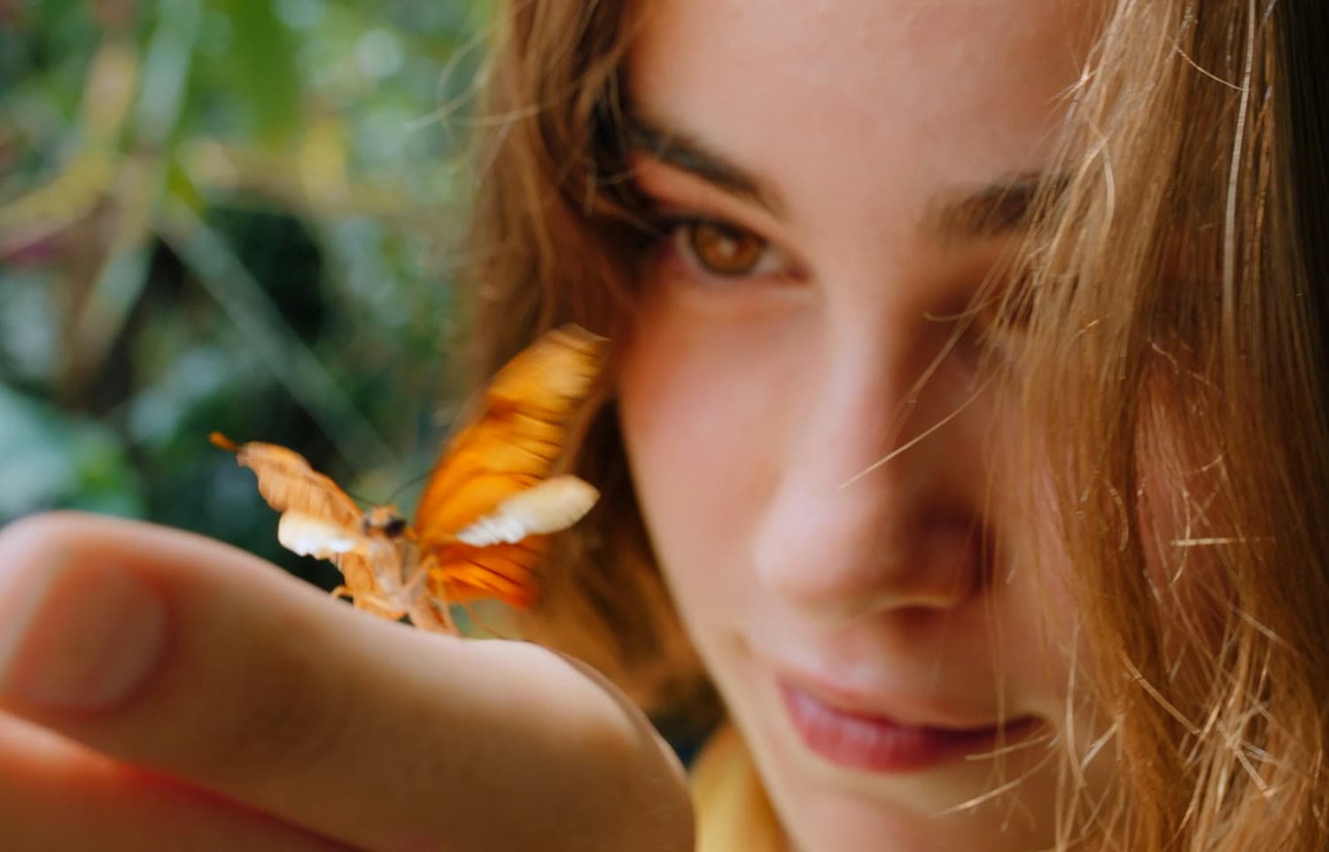 Mariposario